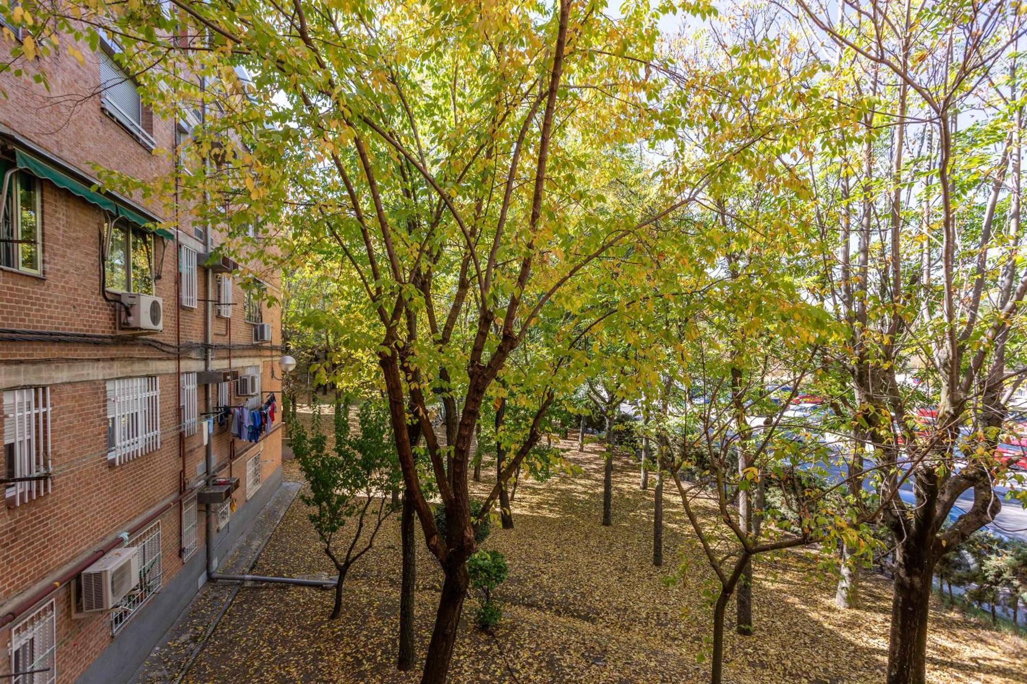 Apartamento 3 Habs Madrid Az10 Exteriör bild